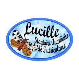 Badge Métal Papillon