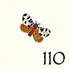 110.Papillon